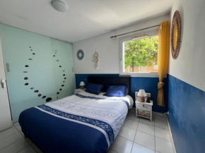 Grand Appartement T2, charmant jardin